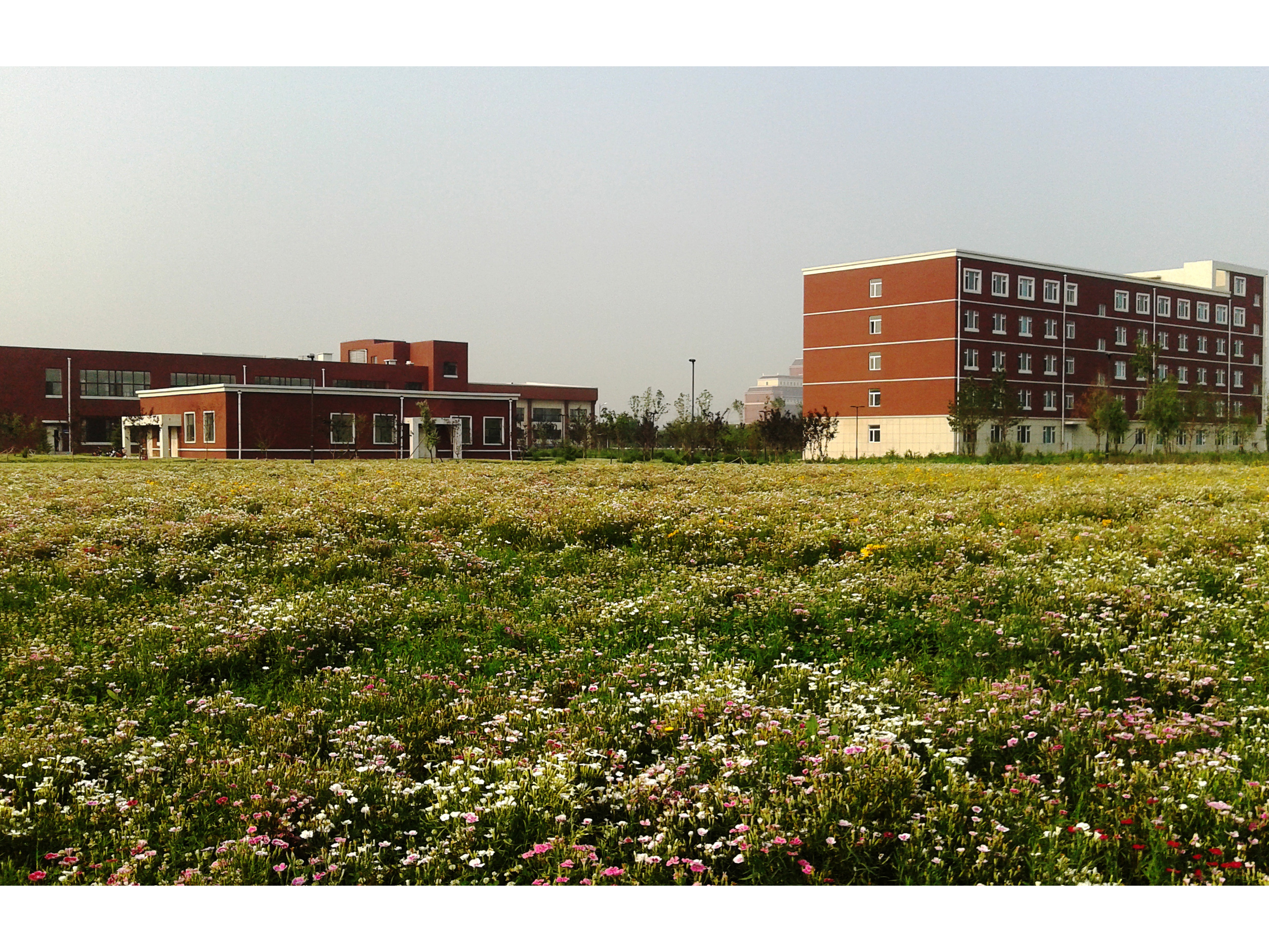 研究生公寓、綜合服務(wù)樓