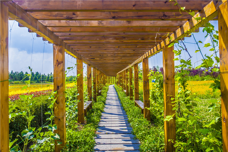 長(zhǎng)廊3（長(zhǎng)春園區(qū)）