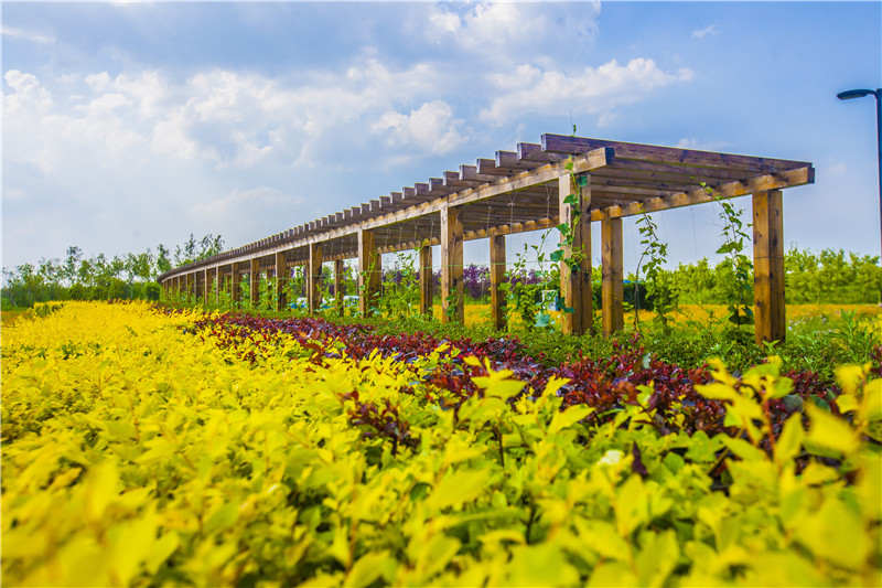 長(zhǎng)廊2（長(zhǎng)春園區(qū)）