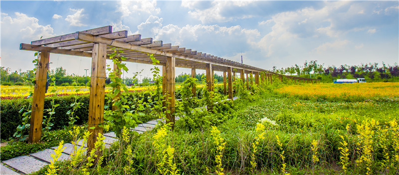 長(zhǎng)廊1（長(zhǎng)春園區(qū)）